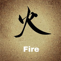 关于成长教育优美段落：在文字中看见自己，轻松捕捉生命拔节的瞬间